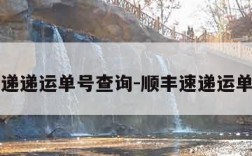 申通快递递运单号查询-顺丰速递运单号查询