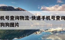 快递手机号查询物流-快递手机号查询物流妊娠期的狗狗图片