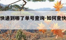 怎么查快递到哪了单号查询-如何查快递到那了