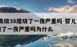 婴儿发烧38度烧了一夜严重吗-婴儿发烧38度烧了一夜严重吗为什么