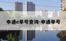 申通e单号查询-申通单号