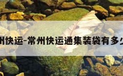 常州快运-常州快运通集装袋有多少人