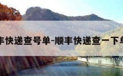 顺丰快递查号单-顺丰快递查一下单号