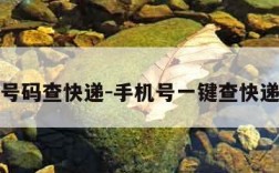 号码查快递-手机号一键查快递