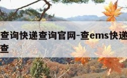 ems查询快递查询官网-查ems快递单号查询查