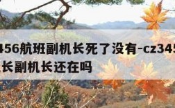 3456航班副机长死了没有-cz3456机长副机长还在吗