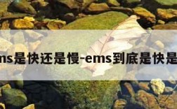 ems是快还是慢-ems到底是快是慢