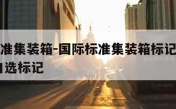 国际标准集装箱-国际标准集装箱标记的类别有 和自选标记