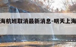明天上海航班取消最新消息-明天上海航班情况